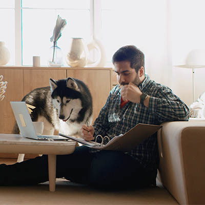 There Are More People Working from Home than Ever